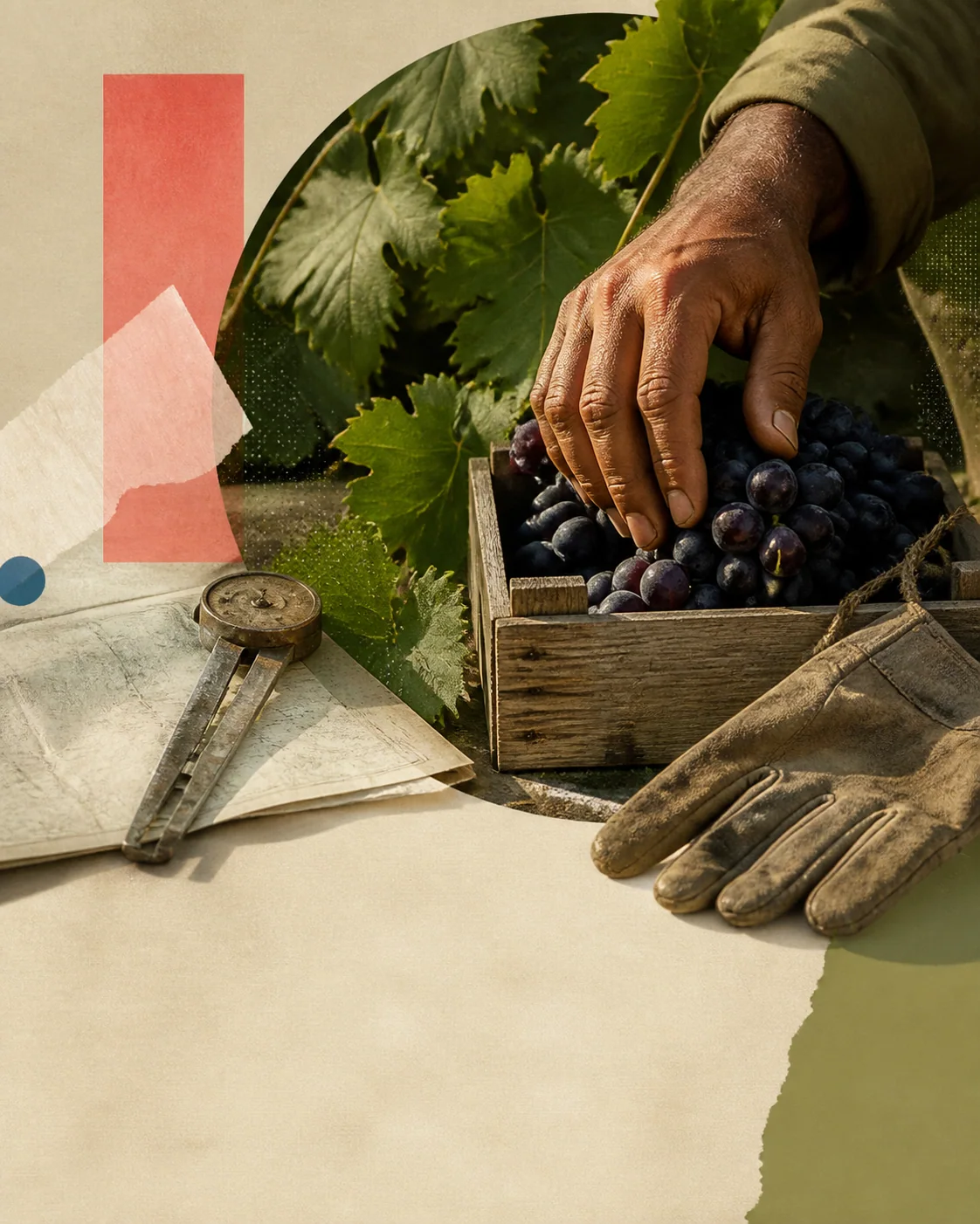 Editorial agriculture campaign with grapes, vineyard leaves, tools, and a working hand